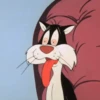 Gato Silvestre 17