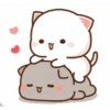 Kucing lucu 5