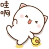 Love peach Mochi cat love  7