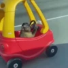 Monkey 15.0 24