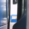 GIF 17
