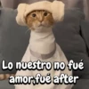 Gatos traviesos🐈🐾🐈‍⬛ 10