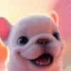 Pibble 🐶 Perro Pibble 7