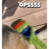 OPSSSS