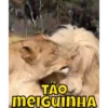 Caras 23