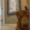 Memes para reaccionar 🤣 24