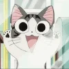 Gato 27