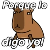 Capibara animado 🦫🗨️📱 16