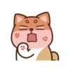 Enojo 12