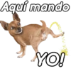 Animalitos funny random🐀🐷🐢 18