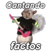 Animalitos funny random🐀🐷🐢 8