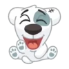 Dog Cute 🐶❤️‍🩹 12