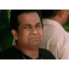 Brahmi 25