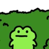 Rana saltando 🐸 14