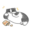 Meme Kucing Bucin Couple Cat 6