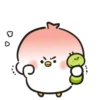 Enojo 21