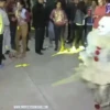 Mas monkey 6
