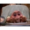 Gif memes 19