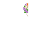 Flower (Bouquet) 5