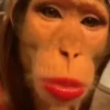 Monos animados  6