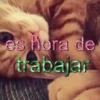 ✨️🎵📋 • FRASES TIKTOK • 📋🎵✨️ 13