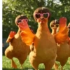 Dance,Gallinas virales TikTok🐔 11