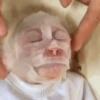 Monkey 15.0 18