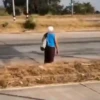 Virales de Humor Nuevos 🤣🤣 12