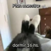 Funny Animal Memes 🐾 8