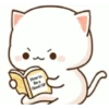 The gomu gomu cat 12