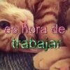 ✨️🎵📋 • FRASES TIKTOK • 📋🎵✨️ 19