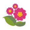 Plants and Flowers🌺🪴 15