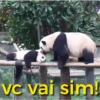 vc vai sim!