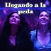 🧿Pa la Peda 🎶🍻🎤 14