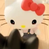 🩷🎀Hello Kitty 🎀🩷 13
