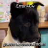 Funny Animal Memes 🐾 7