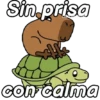 Capibara animado 🦫🗨️📱 6