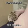 Funny Animal Memes 🐾 12