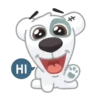Dog Cute 🐶❤️‍🩹 14