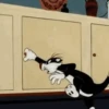 Gato Silvestre 14