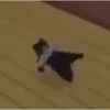 Shitpost baixa qualidade 15