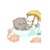 Love peach Mochi cat love  26