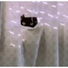 Más gatos 🐱 parte ✌️😾 12