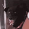 Reações  7
