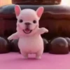 Pibble the dog 🐶💖 9