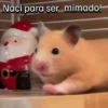 Funny Animal Memes 🐾 20