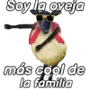 Animalitos funny random🐀🐷🐢 9