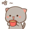 Love peach Mochi cat love  11