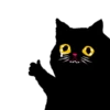 Gato triste y enojado 😎 14