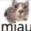 Shitpost 20
